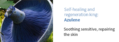 Korean Wonjin Hyaluronic Acid Ampoule Masks (10 Pack)